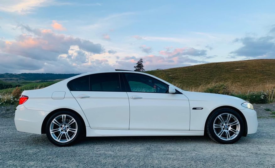 2010 BMW 530d Msport