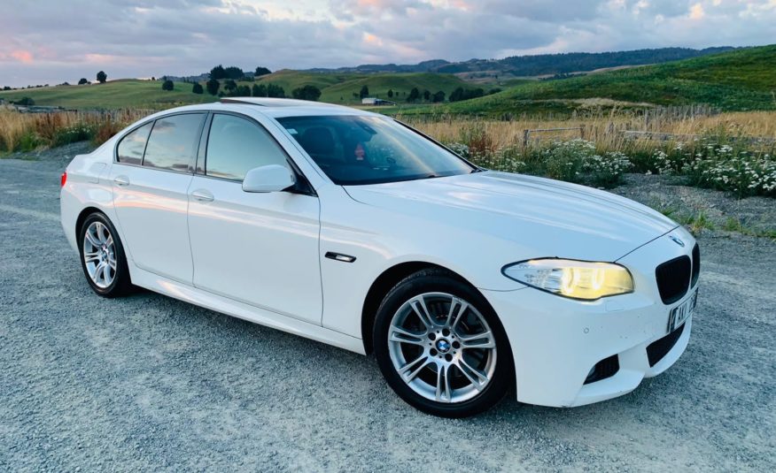 2010 BMW 530d Msport